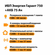 ИБП для котла Энергия Гарант 750 + Аккумулятор 75 Ач 12 В (450Вт - 91мин) - ИБП и АКБ - ИБП для котлов - Магазин электрооборудования для дома ТурбоВольт